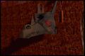 Thumbnail for version as of 00:39, March 30, 2015