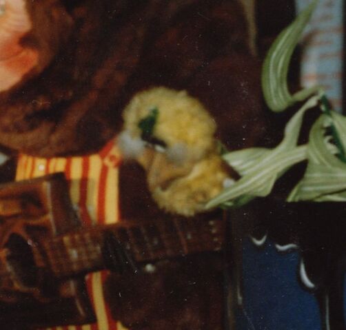 File:Birthday Bird.jpg
