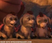 Burros Bebes