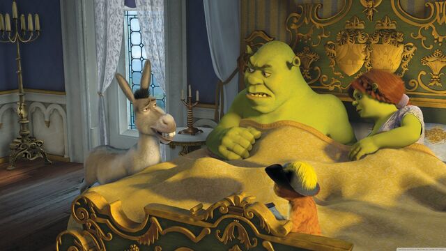 File:Tshrek27.jpg