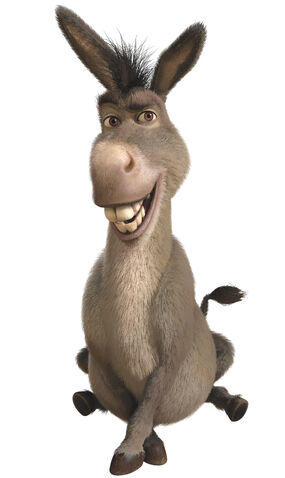 File:Donkeyprofile.jpg