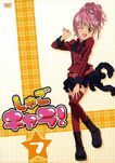 DVD 7
