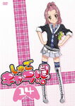 DVD14