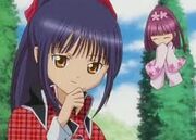 Nadeshiko temari
