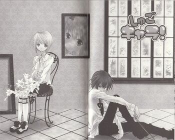 29chapter