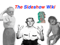 File:Wiki-Preview.png