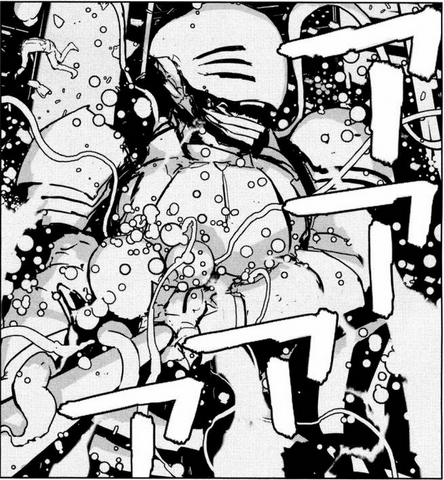 File:First chimera.png