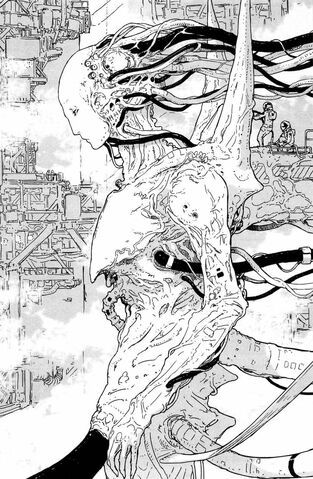 File:Kanata Manga.jpg