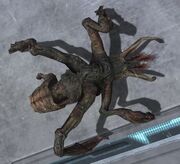 Flood stalker