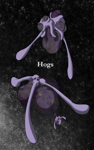 File:Hog2.jpg