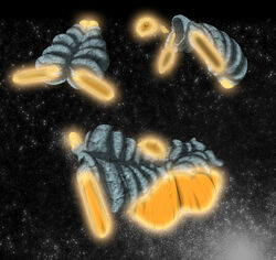 Arkoid1