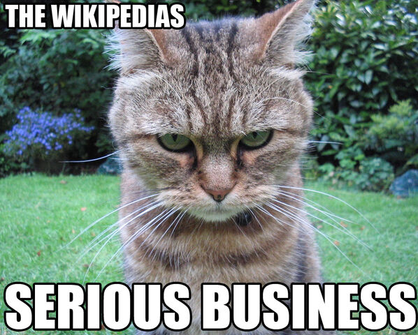 File:Serious.jpg