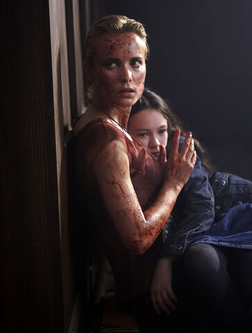 File:Rosesharon.jpeg