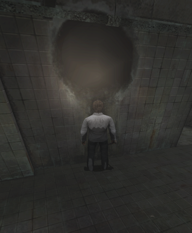 File:ShowerRoomHole.png