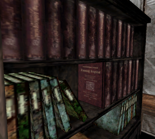 File:Director books.png