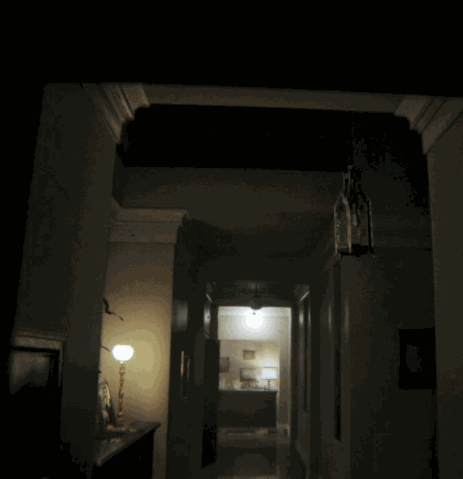 File:TurnLight.gif