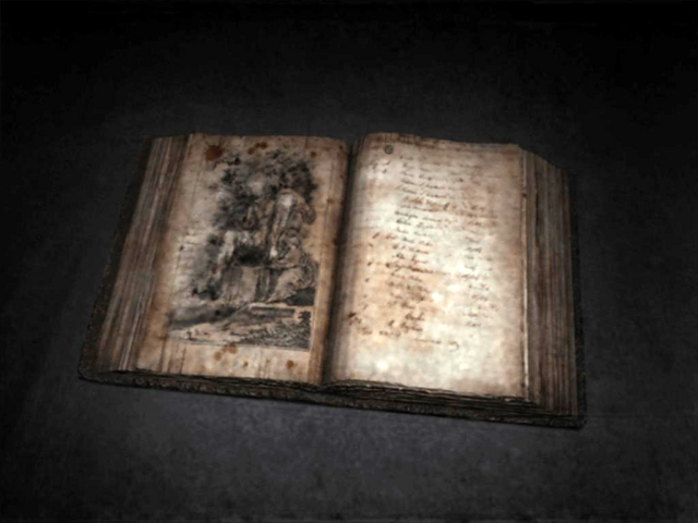 File:SH4Book.png