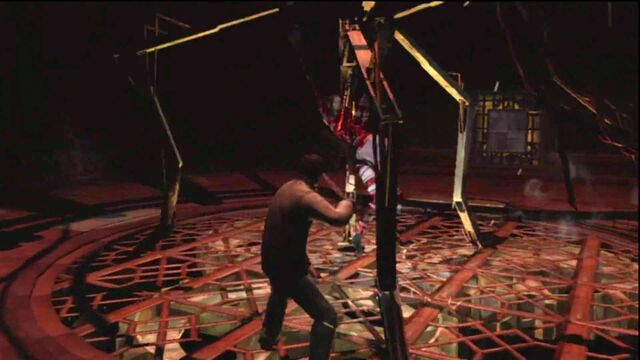 File:Amnion stuck.jpg