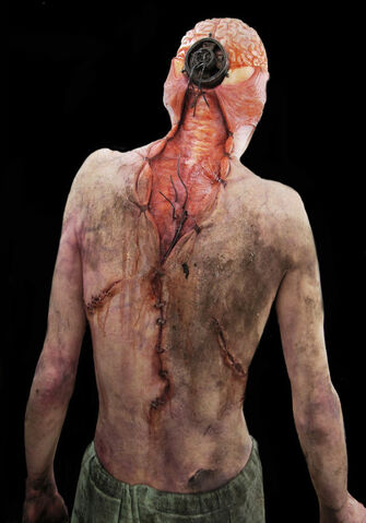 File:Sh revelation art 20140427 04.jpg