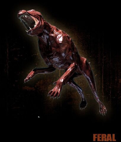 Archivo:FERAL.jpg