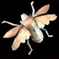 Swarm BoM.jpg