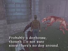 SH1Doghouse.jpg