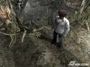 Arbol