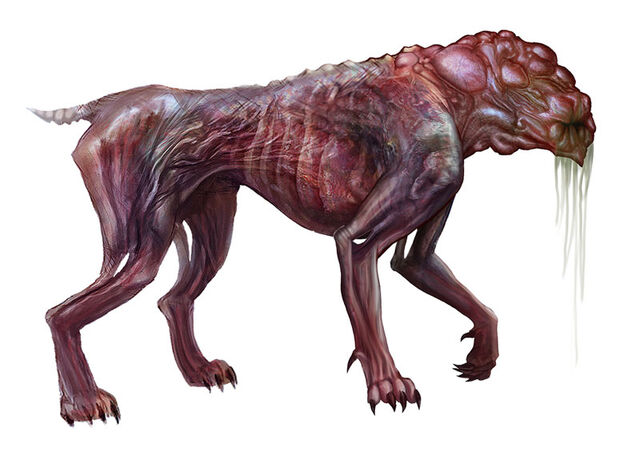 Datei:Feral Konzept.jpg