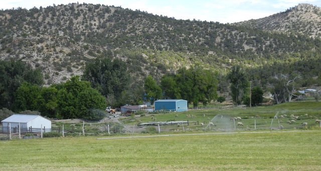 File:Adaven.jpg
