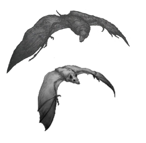 Файл:Chiropter-Dusk.png