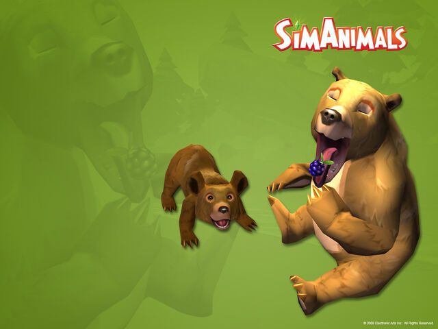 File:8926d1312398163-brown-bear-simanimals-wallpaper-brown-bear-wallpaper-brown-bear.jpg