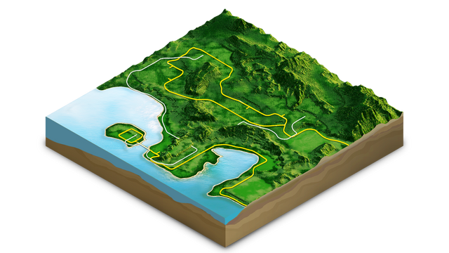 File:Verdant Jungle.png