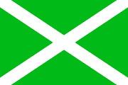 Flagofcustoms