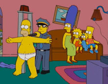 Homer detector metal