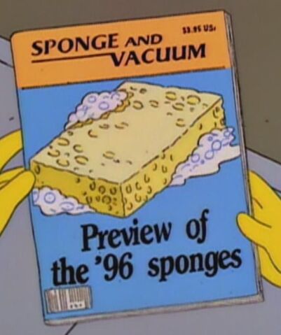File:Sponge and Vacuum.jpg