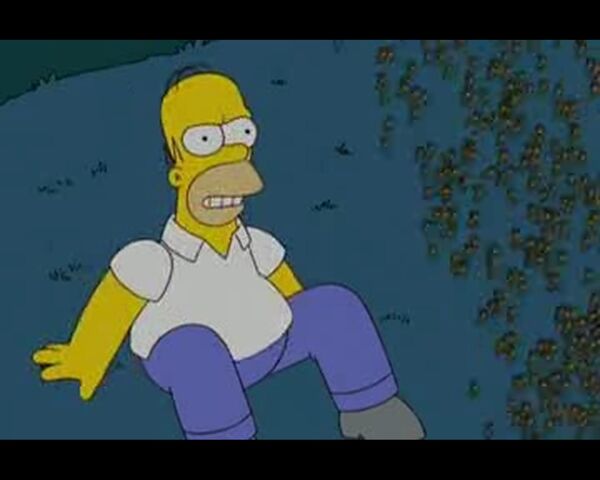 File:The Burns and the Bees (202).jpg