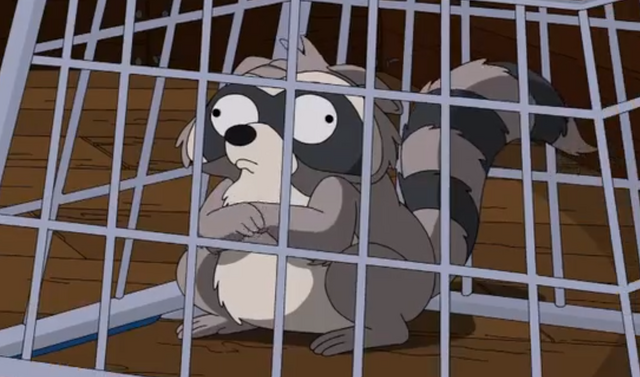 File:Raccoon.png