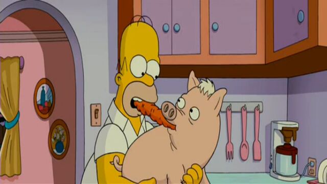 File:The Simpsons Move (0387).jpg