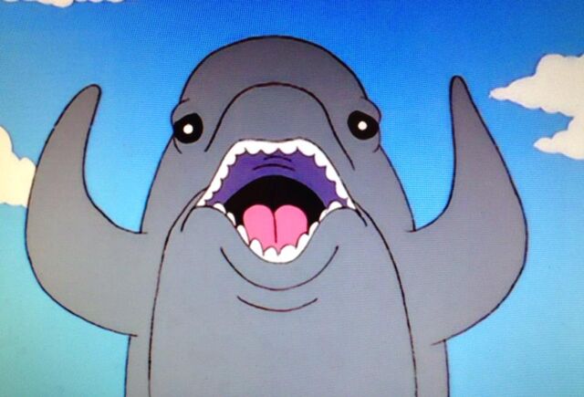 File:Funny dolphin.jpg