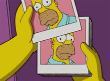 Homer fotos arrependimento.jpg