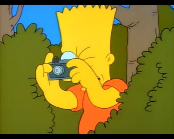 File:Homer's Night Out (068).jpg