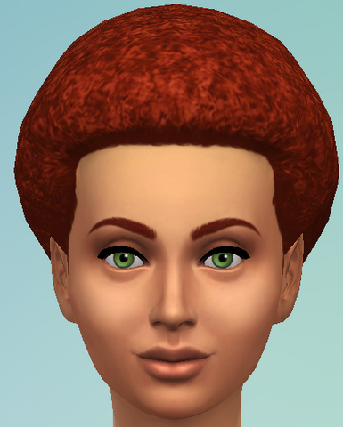 File:YfHair AfroMedium.png