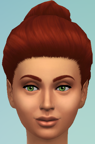 File:YfHair GrannyBun.png