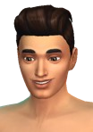 File:YmHair PompadourRetro.png