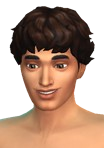 File:YmHair MediumCurly.png