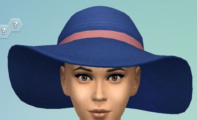 File:YfHat SunHat navy.jpg