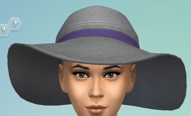 File:YfHat SunHat gray.jpg
