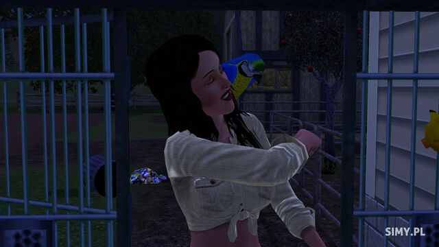 File:Parrot.jpg