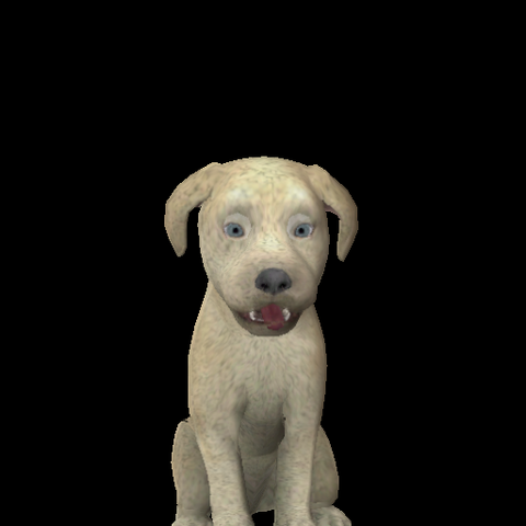 File:BaBa Marshall.png