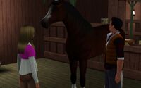 Eliza Peter Horse